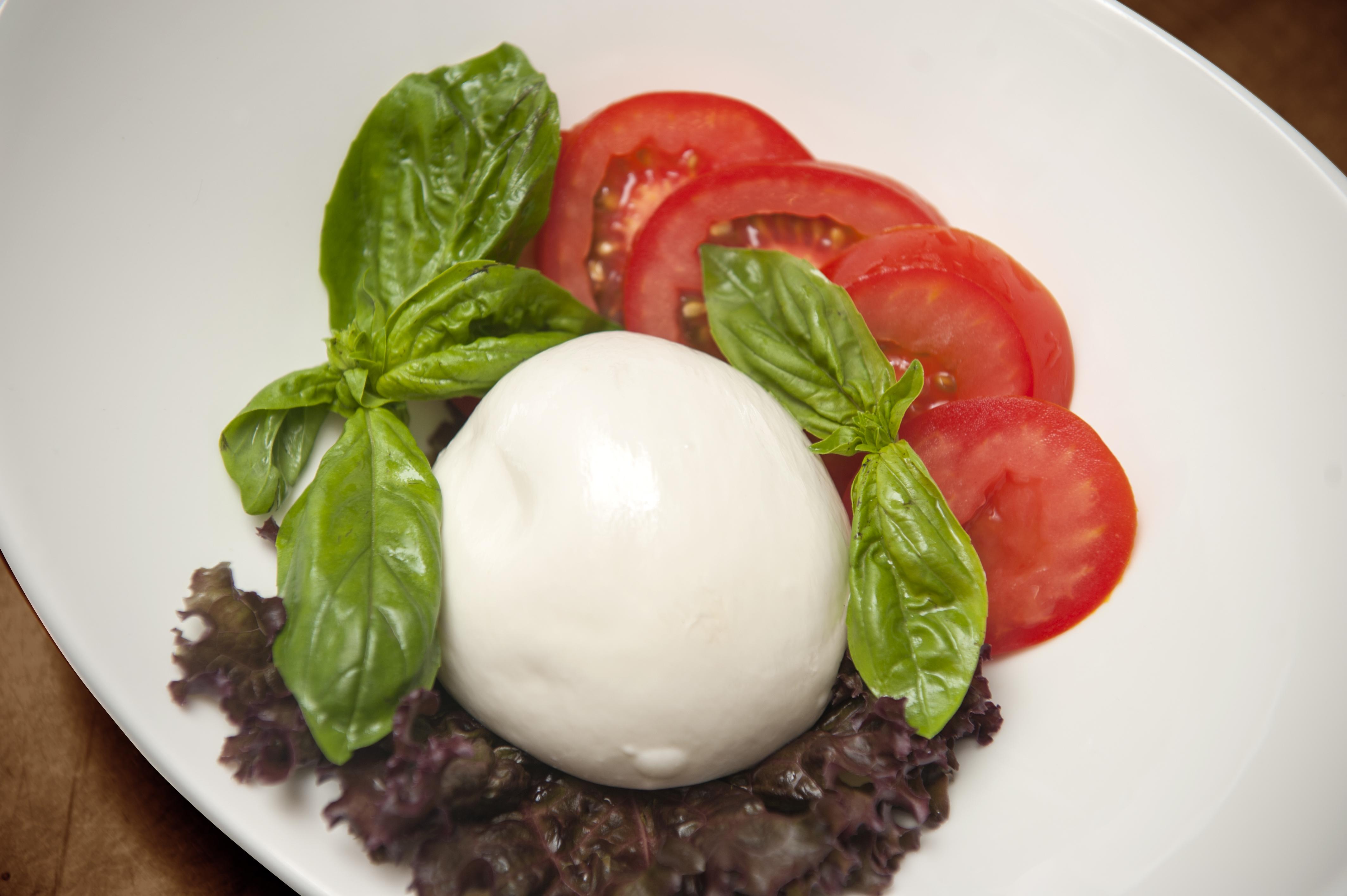 Freshmozzarella dish