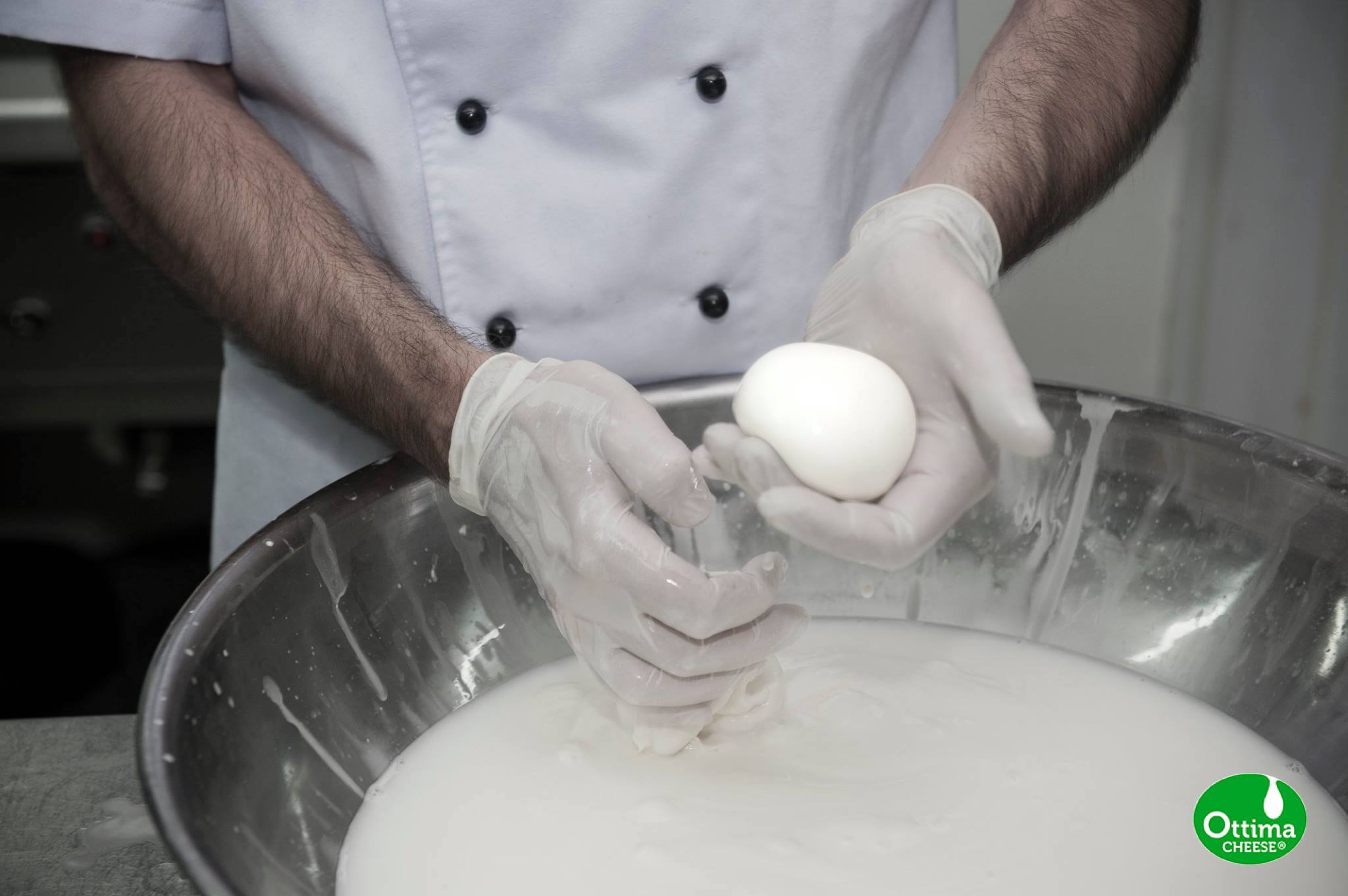 mozzaralla making